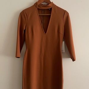 Tobi - Fall Brown Dress